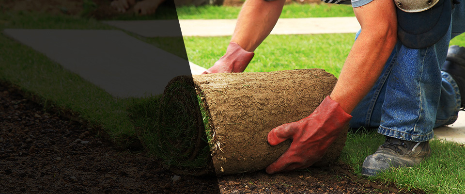 Lockeford Landscapers